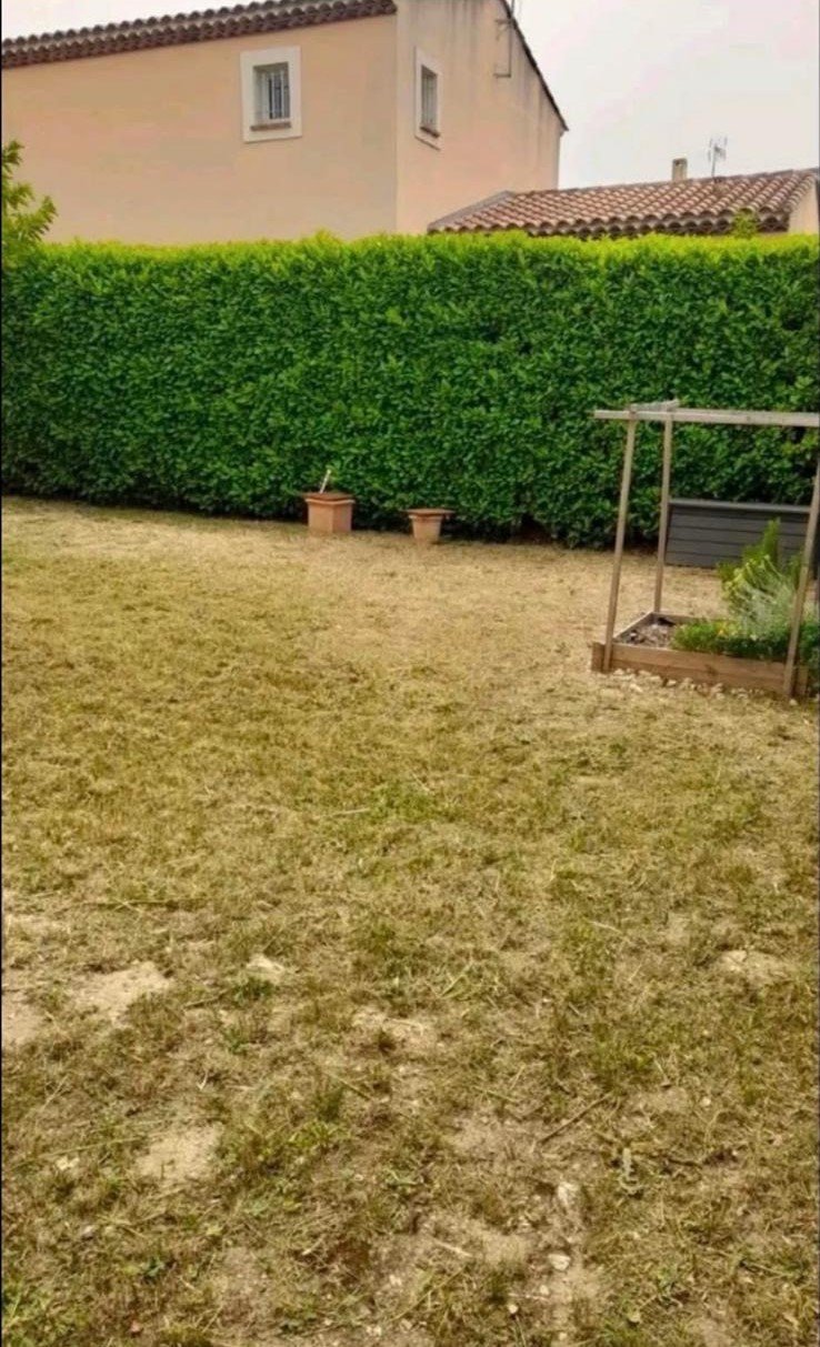 Jardin après les travaux